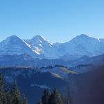 Profile Picture of Michael Schlienger (@rapidag96) on Instagram