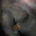 Profile Picture of Mark Zastrow (@mark.zastrow.733) on Facebook