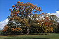Profile Picture of Florham Park, New Jersey - Wikipediaon Wikipedia