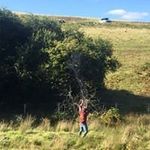 Profile Picture of Matt Westbury (@matt_westbury) on Instagram