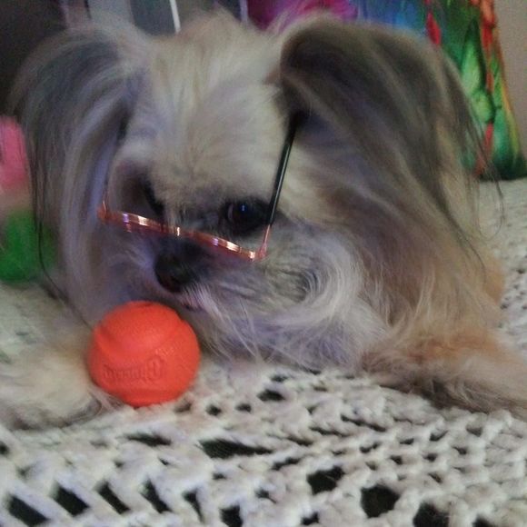 Profile Picture of Carron Connolly (@carron_connolly) on Poshmark