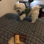 Profile Picture of Kevin (@kevin_diaz12) on Instagram