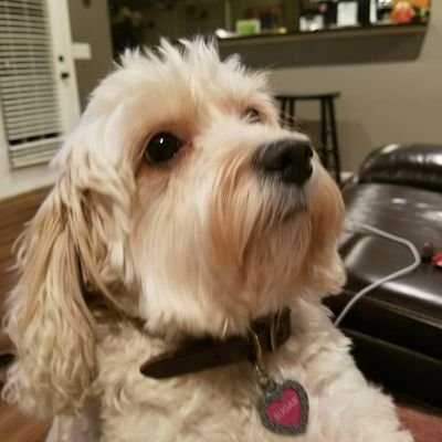 Profile Picture of Brian Winder (@winderworld) on Twitter
