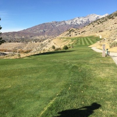 Profile Picture of Steve Archibald (@stevearchibald7) on Twitter