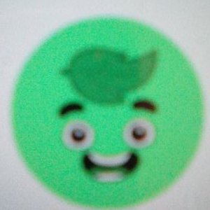 Profile Picture of Alexis Haskell (@AlexisHaskell07) on Twitter