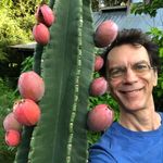 Profile Picture of Craig Hepworth (@floridafruitgeek) on Instagram