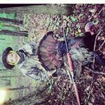 Matthew  hissa - Instagram Profile Picture of Matthew  hissa (@hissamatthew) on Instagram