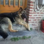 Jérémy Parent - Facebook Profile Picture of Jérémy Parent (@Jérémy-Parent) on Facebook