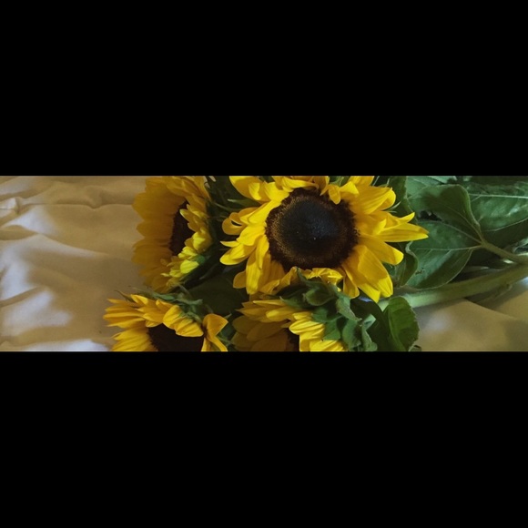 Profile Picture of Maya Andaverde (@maya5440) on Poshmark