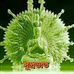 Profile Picture of David Mukherjee (@david.mukherjee.982) on Facebook