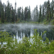 Profile Picture of Juan Mir (@jaguarmim) on Youtube