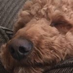 Profile Picture of Paul Nevue (@paulnevue) on Instagram