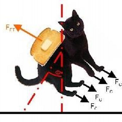 Profile Picture of Mark And Dean (@ButteredMyCat) on Twitter