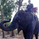 Derrick Huang - Instagram Profile Picture of Derrick Huang (@derrick.huang) on Instagram