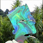 Profile Picture of Kevin Baez (@puaj_) on Instagram