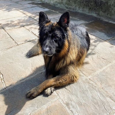 Profile Picture of H (@Hayley_Archer) on Twitter