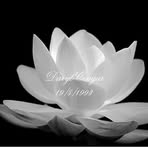 Profile Picture of Cougar Daryl (@Cougar-Daryl) on Facebook