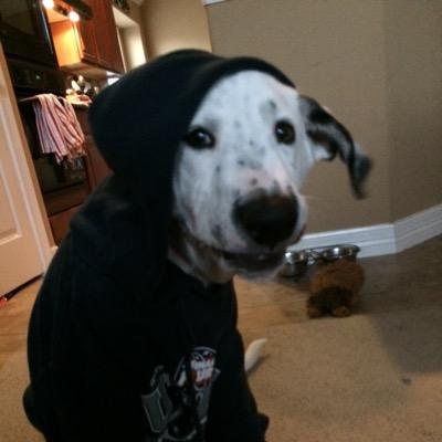 Profile Picture of Jeremy Derucki (@jeremyderucki) on Twitter