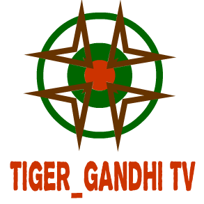 Elias Giannopoulos - Twitter Profile Picture of Elias Giannopoulos (@TigerGandhiTV) on Twitter