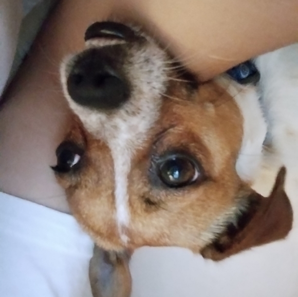 Profile Picture of Juliette Gonzalez (@mijly) on Poshmark