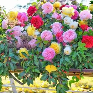 Emond Taylor - Facebook Profile Picture of Emond Taylor (@emond.taylor.3) on Facebook