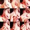 Profile Picture of Natasha Roju (@natasha.roju) on Facebook