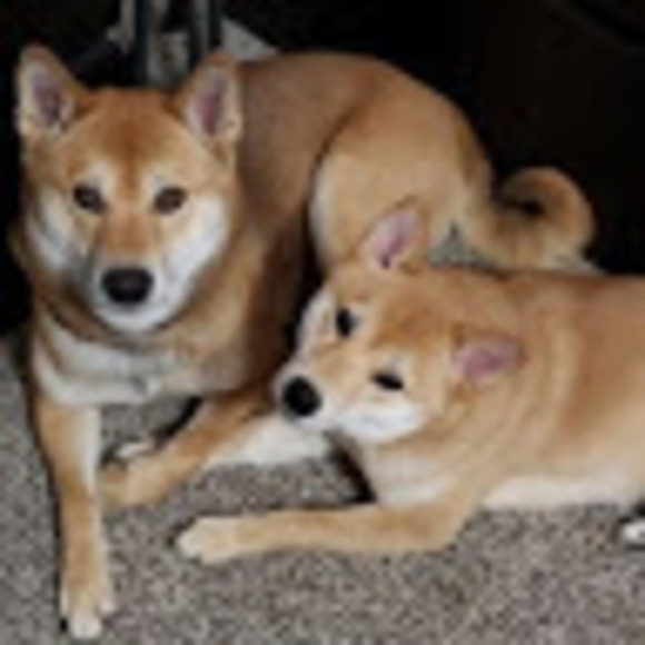 Profile Picture of Violet Jenkins (@kennedyjenks04) on Poshmark