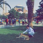 Profile Picture of Omar Khatib🇱🇧 (@omarkhati_b) on Instagram