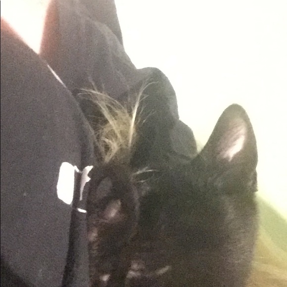 Profile Picture of Abby Niehaus (@abbyn03) on Poshmark