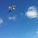 Profile Picture of deerowe17 (@deerowe17) on Instagram