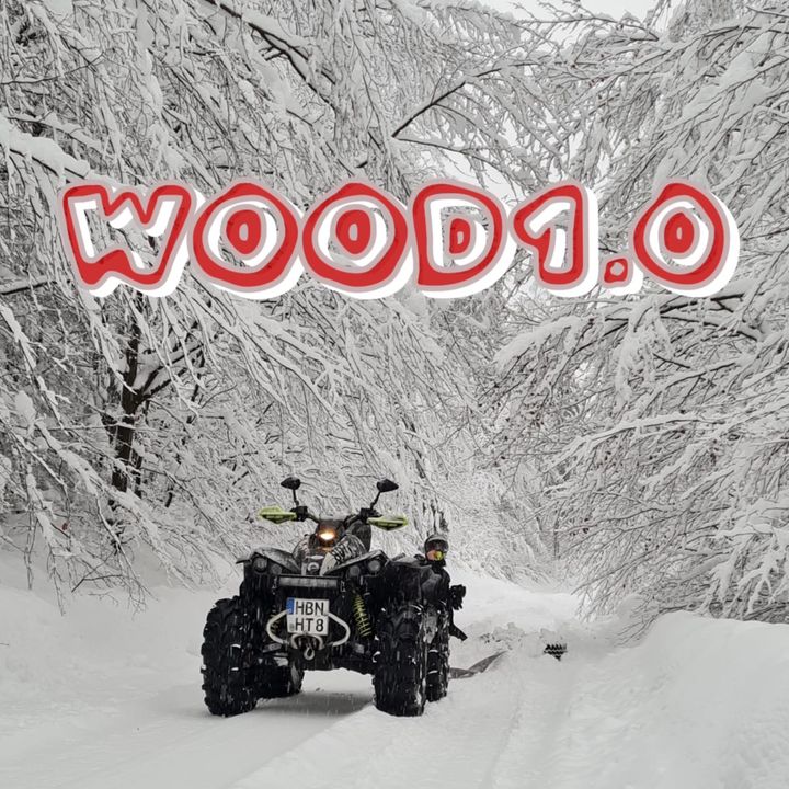 Profile Picture of Wood1.0 (@robertfreytag) on Tiktok