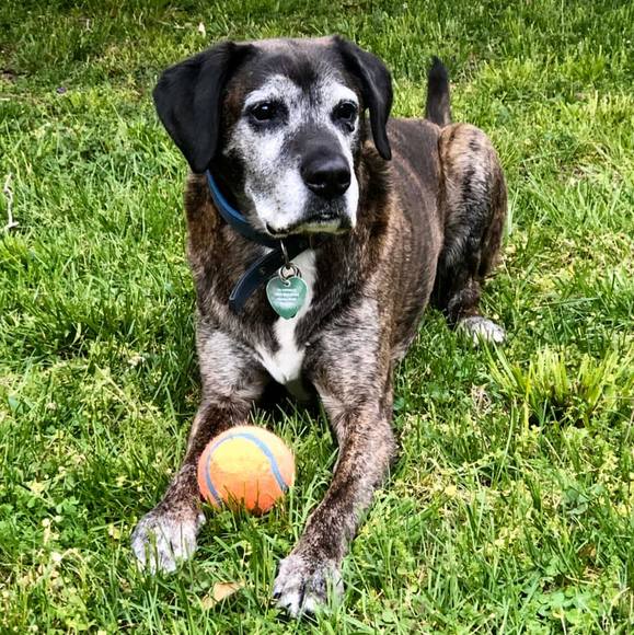 Profile Picture of Pam Sauerman (@pamsauerman) on Poshmark