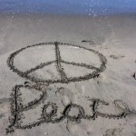 Profile Picture of Tori Sheldon (@victoriasheldon) on Instagram