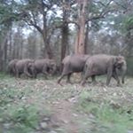 Partha Dasgupta - Instagram Profile Picture of Partha Dasgupta (@partha.pdasgupta) on Instagram