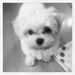 Profile Picture of Paula Thayer (@paulathayer16) on Pinterest