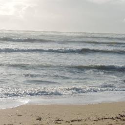 Profile Picture of Salles Vanessa (@MichaelVanessa2) on Twitter