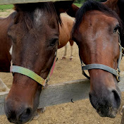 Profile Picture of Bailey Donahue (@BaileyDonahue-yu4gk) on Youtube