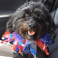 Nancy Barra - Quora Profile Picture of Nancy Barra (@nancy-barra) on Quora