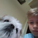 Profile Picture of brady brower (@brady_luna_) on Instagram