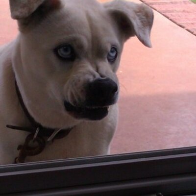 Profile Picture of Clay Shields (@shields_clay) on Twitter