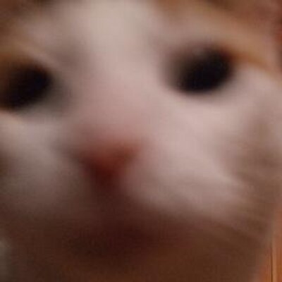 Profile Picture of Abbey Farmer (@AbbeyFarmer1) on Twitter