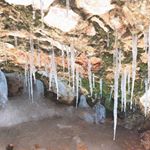 Profile Picture of Audrey Phillips (@phillipss8603) on Instagram