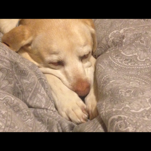 Profile Picture of Renee Wendt (@eens0046) on Poshmark