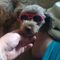 Profile Picture of Kelli Brian (@kelli.brian.77) on Facebook