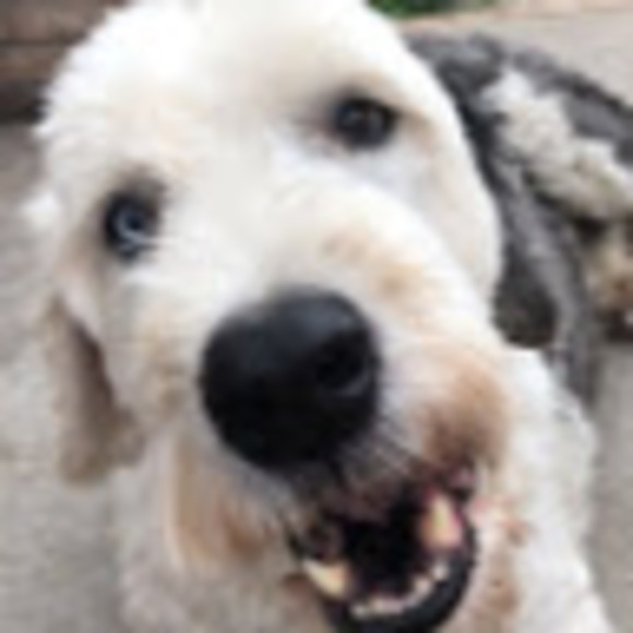 Samantha Oratch - Poshmark Profile Picture of Samantha Oratch (@samanthaoratch) on Poshmark