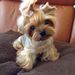 Profile Picture of Emarjorie Thompson-Wilson (@emarjoriechrist) on Pinterest