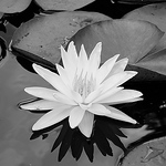 Profile Picture of Ayerim Ayerim (@ayerim37) on Flickr