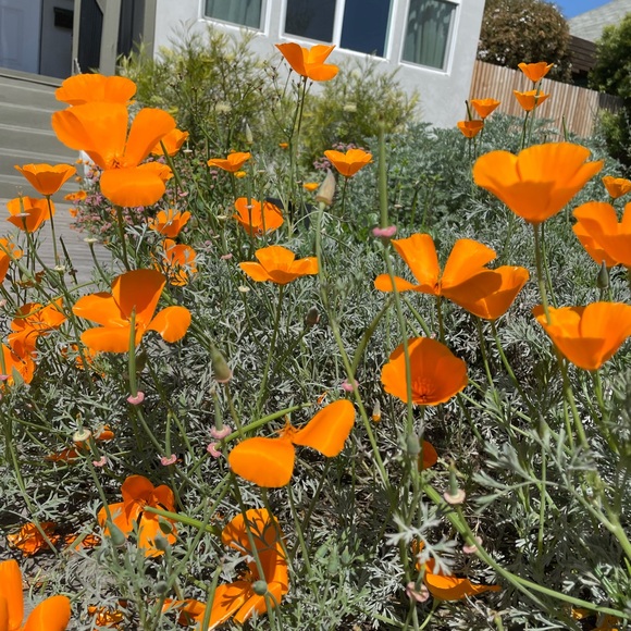 Gabriel Crown - Poshmark Profile Picture of Gabriel Crown (@gabrielcrown) on Poshmark