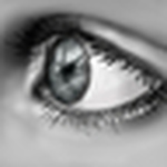 Profile Picture of suzanne Freeman (@soozfr) on Flickr