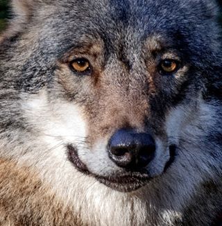 Profile Picture of Fred Felt (@fred.felt.161) on Facebook